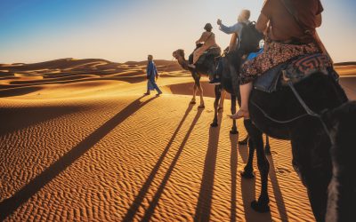 Exotic Morocco Travel